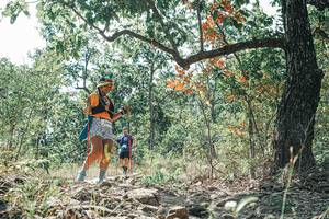 BIB: 
                            <button type="button" onclick="openModal(26109494)" class="btn btn-primary btn-sm float-right btn-popup" data-toggle="modal" data-target=".modal-high-quality">
                        <i class="fas fa-shopping-cart"></i> Add to Cart
                    </button>
                                            <button type="button" onclick="isThisMe(26109494, true)" class="btn btn-success btn-sm float-right btn-popup btn-isme hidden" data-toggle="tooltip" data-placement="bottom" title="นี่คือรูปของคุณใช่ไหม คลิกที่นี่เพื่อเอาเข้าอัลบั้ม">
                        <i class="fas fa-plus"></i> Add to album
                    </button>
                    <button type="button" onclick="isThisMe(26109494, false)" class="btn btn-warning btn-sm float-right btn-popup btn-isnotme hidden">
                        <i class="fas fa-ban"></i> Remove from album
                    </button>